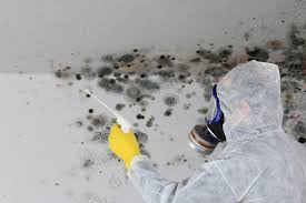 Best Forensic Mold Investigation  in USA